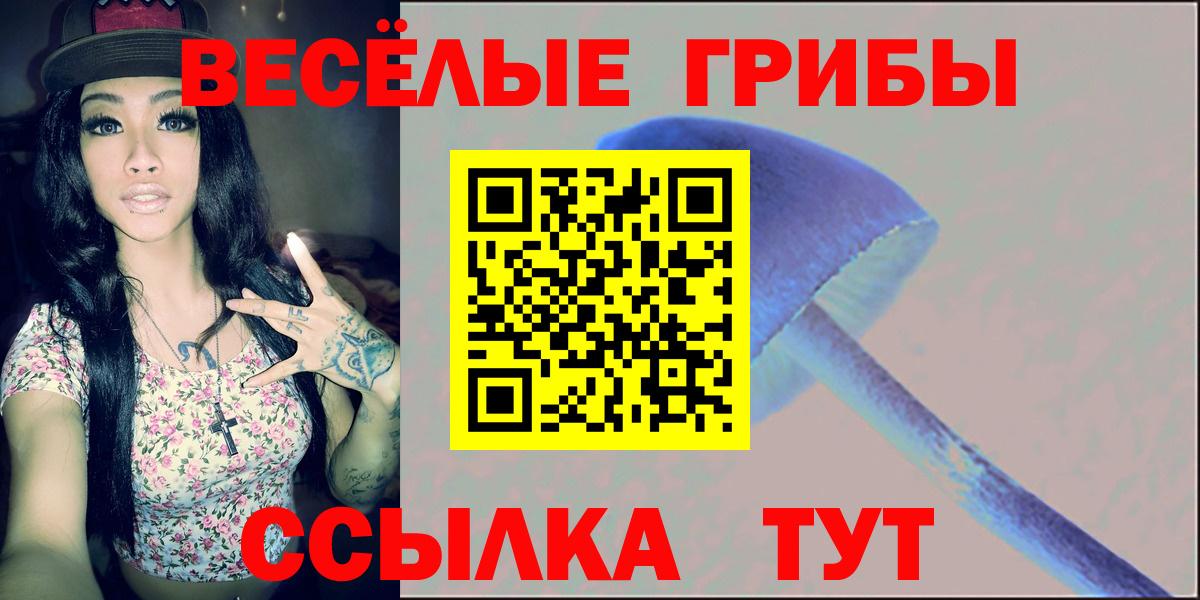 Псилоцибиновые грибы MAGIC MUSHROOMS  Вход с VPN  Северобайкальск  Галлюциногенные грибы мухоморы 