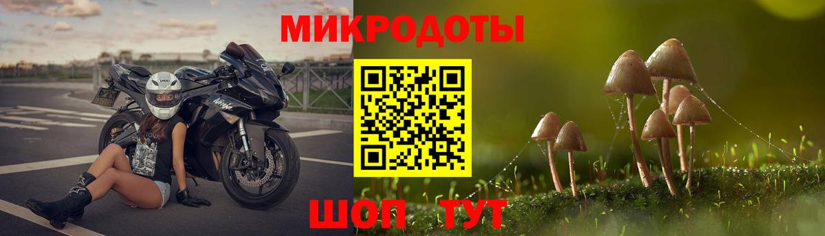 Псилоцибиновые грибы Magic Shrooms Северобайкальск